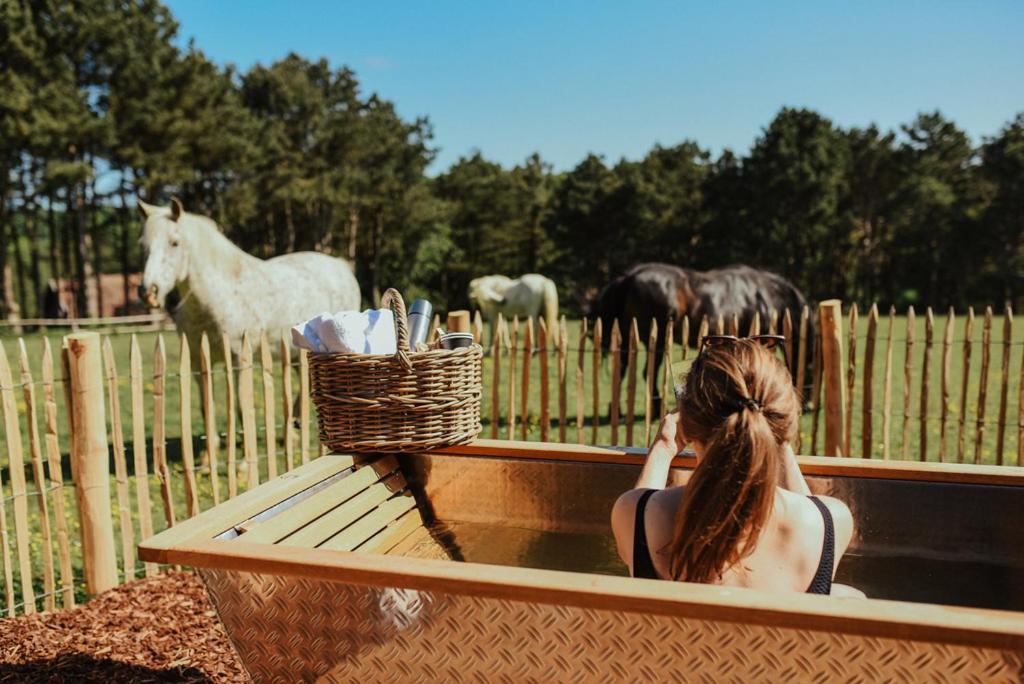 Les Pins De Cesar - La Campagne D'Etretat Hotel Saint-Jouin-Bruneval Ngoại thất bức ảnh
